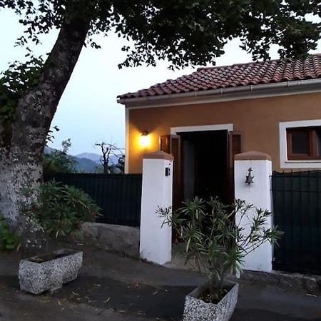 Petit Coin De Paradis Evisa Exterior photo